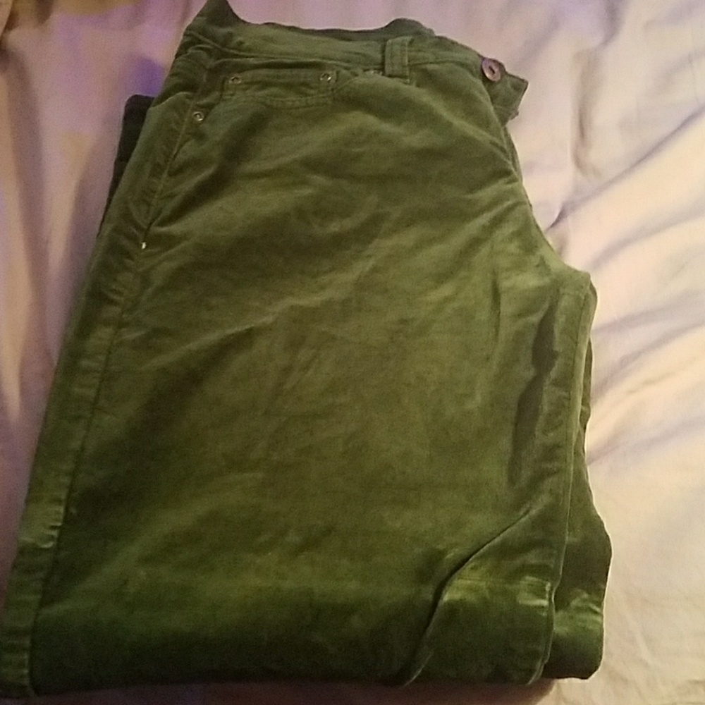 Velvet dress pants